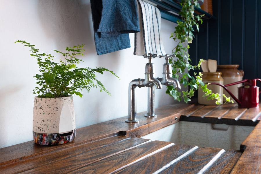 Transform Your Indoor Space with Stylish and Functional Plant Pots: A Guide to Choosing the Perfect Match for Your Plants